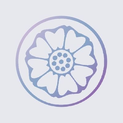 Rinari Studio Profile