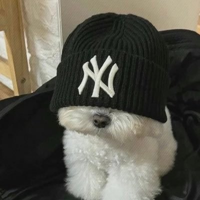 THE_spencerw95's profile picture. Seemed like a good idea at the time....