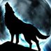 Wollf296 (@wollf29699157) Twitter profile photo Wollf296 (@wollf29699157) Twitter profile photo