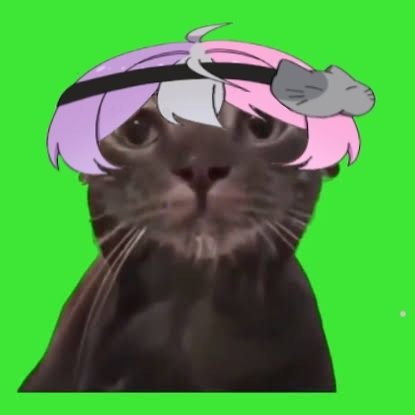 子竜🧐さんのプロフィール画像