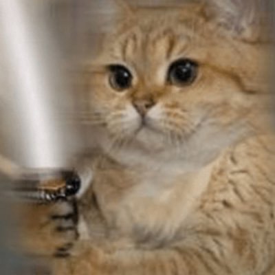 CunTian44500's profile picture. のぶ❣️✨🐉サブ垢→本垢です🌸 思いつく事をのんびりまったり呟きます🌸JESARA・Q🤍¹⁷🫡・🌏🌈💫BRICS💫🇧🇷🇷🇺🇮🇳🇨🇳🇿🇦 👏😊・反グローバリスト・ ❌添加物・ 反売国奴政府・コロ💉非接種