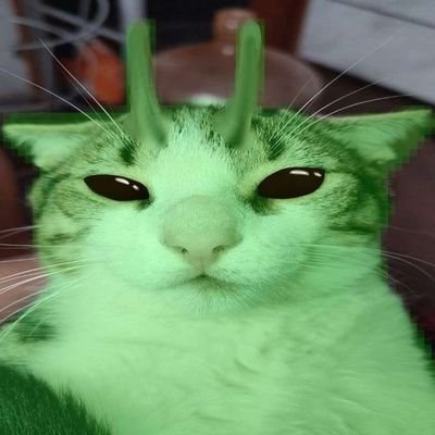 ewさんのプロフィール画像