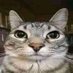 Nelson (@nelson_arb) Twitter profile photo Nelson (@nelson_arb) Twitter profile photo