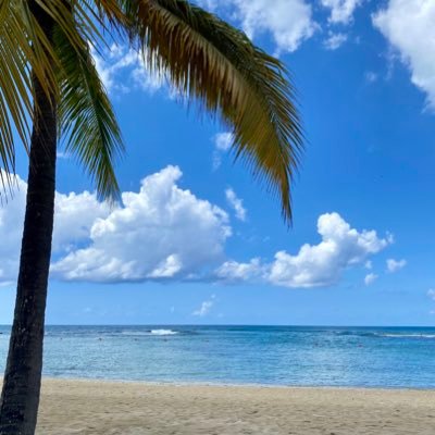 MSW768514355511's profile picture. I’m not here for followers, just to read the news.  📰