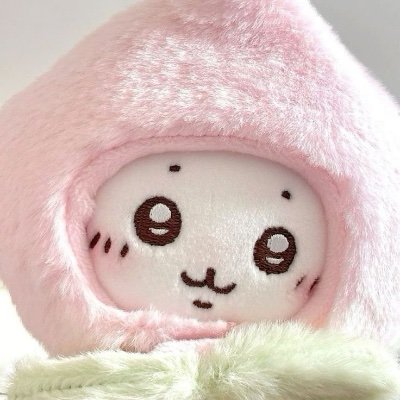 High school student / Girl / Gaming / Anime / Manga / Sweets / Sports / Art / Bichon Frise🐶 /2026~ 🇯🇵→🇳🇿