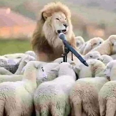 quotepost24's profile picture. im personally dirty! 

but, publicly decent/Perfectionist