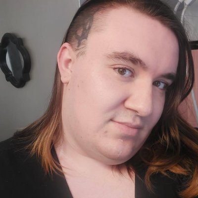 29-transfemme-They/She-Disabled-autistic-DID system of 42+