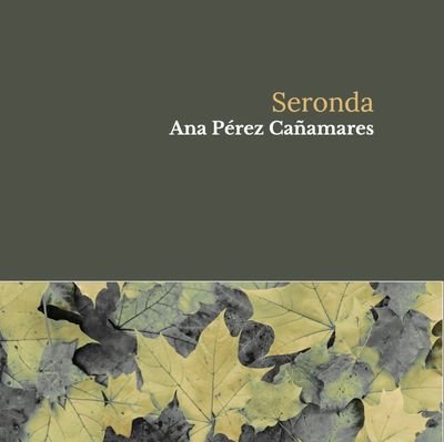 Cosecha del 68. Poeta y narradora. Feminista radical. Es un oficio antiguo el rebelarse, dijo M. Teresa León. Seguimos en ello.