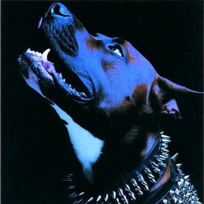 1bazzzzz's profile picture. rolling stone rolling ganja