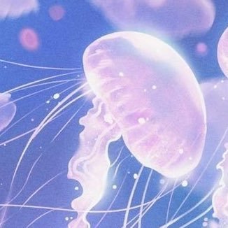 something123476's profile picture. 