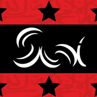 SWIREPUBLIC's profile picture. 🌍 🏳️The First On-Chain Nation • No Usury • Anti-Zionist • 10,000 $SWI = Citizenship • $SWI Coin Powers the Republic