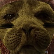 ceo of seal'zel 🦭さんのプロフィール画像