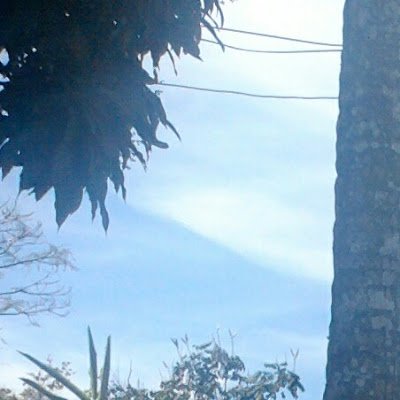 EdvaniaSou82997's profile picture. 