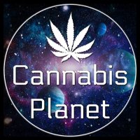 🇮🇹🍁🍄 #BOLOGNA BEST DRU WEE 420 CANNABIS ❄️🇮🇹 (@bolognaweed) 's Twitter Profile