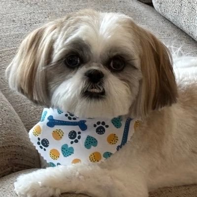 jerseygrl52's profile picture. I don’t do DMs.