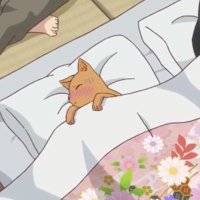 pium (@kirushiuu) 's Twitter Profile