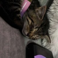 2AM Flair7x (@flair_7x) 's Twitter Profile