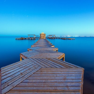 mochufish's profile picture. 