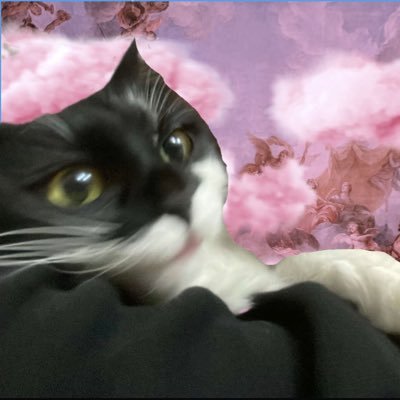 GGanbayarr's profile picture. 🇲🇳