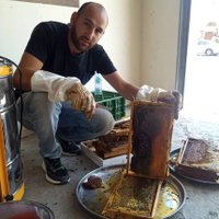 مناحل 🐝🐝الامارات العربيه🇦🇪 (@hfarg89381) 's Twitter Profile