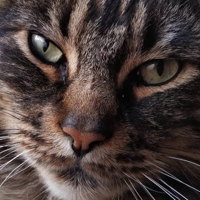 PvtoEl84841's profile picture. 