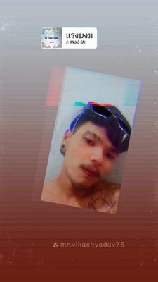 TerMa177843's profile picture. โสด