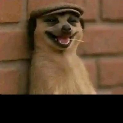 AKadenge47509's profile picture. 