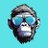 0xMoonke avatar