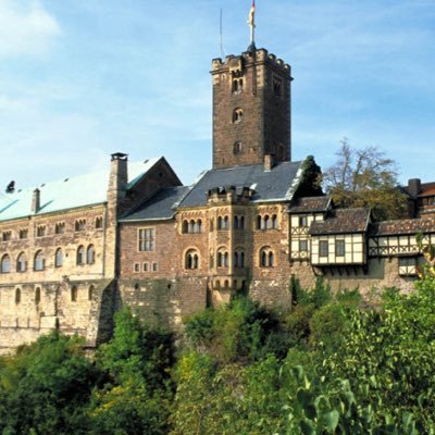 npdthueringen's profile picture. 