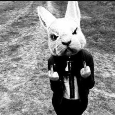 ThomasD39463's profile picture. 