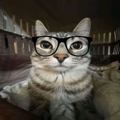 vckggh's profile picture. 🚀🎮🥖🦅👩🏻🏴󠁧󠁢󠁳󠁣󠁴󠁿