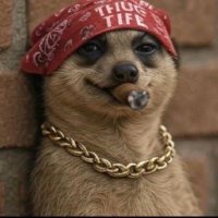 The last Prodigal Son🧌 (@prodigarlboy) 's Twitter Profile
