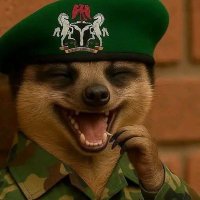 Lieuto (@lieutenantmike2) 's Twitter Profile