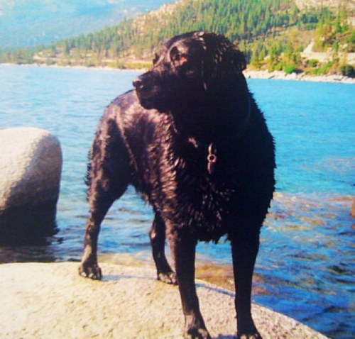 athensdess's profile picture. 