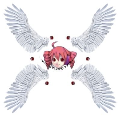 Angel Teto Profile