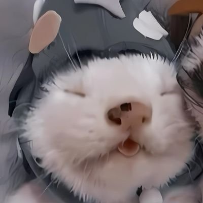 ‎ ‎ ‎ ‎ 𝐯𝐨𝐥𝐭 ꜝ 🍁さんのプロフィール画像