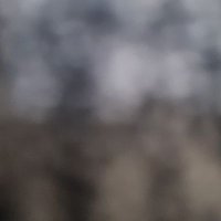 vaveyla (@vaveyla__3) 's Twitter Profile