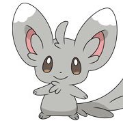 pingupippi8181's profile picture. うさうさぴん