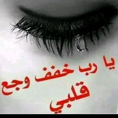 NbylAlwsab24941's profile picture. 