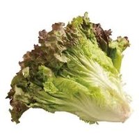 サニレタ連合(野菜) (@guutara__mamama) Twitter profile photo