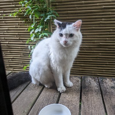 C5Gtfg15Dv59488's profile picture. 