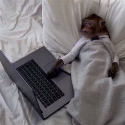 licantropo3392's profile picture. Gamer, programmer and Linux🐧lover