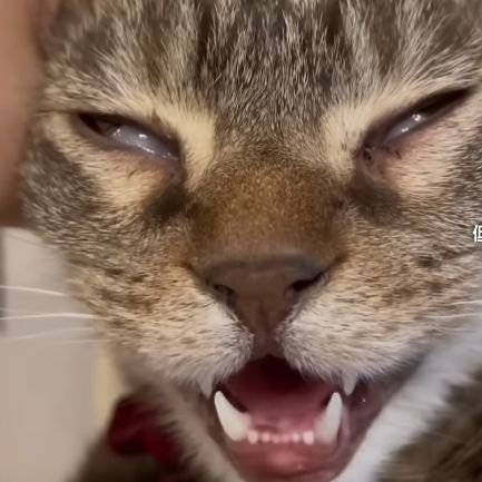 Vlu8GkL3DY75041's profile picture. 