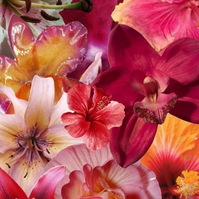 ephezar's profile picture. yes it's me