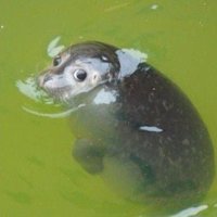 IAmPunchLine (@goodpunchline) 's Twitter Profile