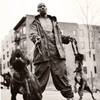 Wang Chill (@wangchill1) 's Twitter Profile