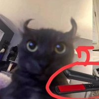 두부멘탈소유자 (@2kangkanghead) 's Twitter Profile