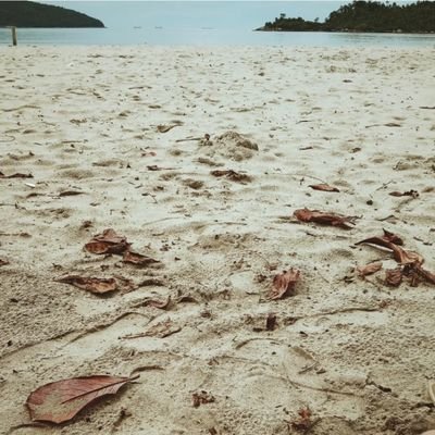 nico03481397019's profile picture. solto solto