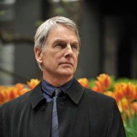 Mark T harmon (@t_harmon67515) 's Twitter Profile