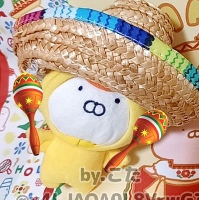 こたさんのプロフィール画像